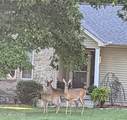 11 Wilbourn Circle - Photo 36
