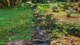 Tract 2R-3 Cold Springs Rd - Photo 1