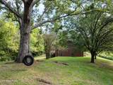385 Gardenia Rd - Photo 27