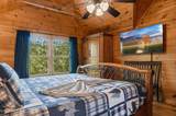 3201 Bear Country Way - Photo 30