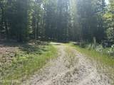  Hard Wood Court - Photo 4