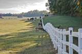 1653 New Hope Rd - Photo 18
