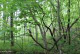  Leatherwood Rd - Photo 10