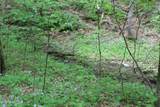  Leatherwood Rd - Photo 11