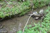  Leatherwood Rd - Photo 6