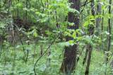  Leatherwood Rd - Photo 9