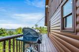 3654 Buckeye Knob Way - Photo 36