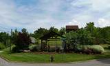 2225 Wingspan Drive - Photo 46