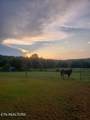 7624 Rustic Lane - Photo 36