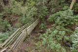 3690 Scottish Highland Way - Photo 40