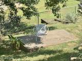225 Wahoo Court - Photo 46