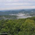 3782 Chilly Springs Rd - Photo 34