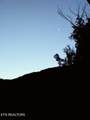 3782 Chilly Springs Rd - Photo 42