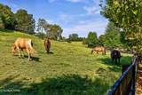 4560 Gravelly Hills Rd - Photo 47