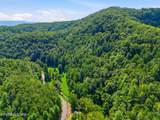 3910 Wilhite Rd - Photo 3