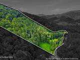 3910 Wilhite Rd - Photo 37
