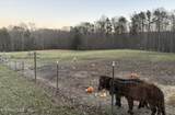 5146 Griffith Rd - Photo 45