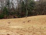 2143 Everett Rd - Photo 30