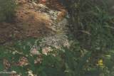 1634 Dixon Branch Rd - Photo 11