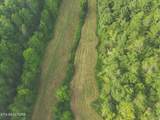 1634 Dixon Branch Rd - Photo 23