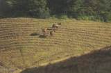 1634 Dixon Branch Rd - Photo 4