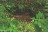 1634 Dixon Branch Rd - Photo 49