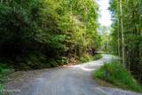  Chilhowee Loop - Photo 10