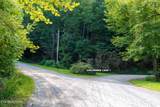  Chilhowee Loop - Photo 11