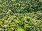  Chilhowee Loop - Photo 12