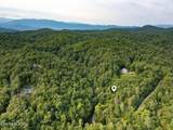  Chilhowee Loop - Photo 3