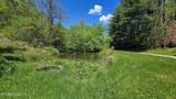 Lot 7 Dooley Hollow Rd - Photo 6