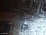 Hugh Jones Rd - Photo 5