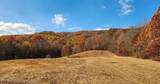 10414 Petros Hwy - Photo 1