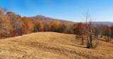 10414 Petros Hwy - Photo 8