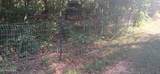 6831 Howard School Rd - Photo 10