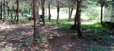 6831 Howard School Rd - Photo 11