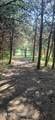6831 Howard School Rd - Photo 8