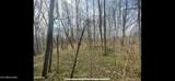150 Timber Oaks Lane - Photo 20