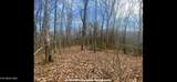 150 Timber Oaks Lane - Photo 25