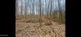 150 Timber Oaks Lane - Photo 27