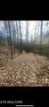 150 Timber Oaks Lane - Photo 28