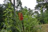 2390 Pea Ridge Fire Tower Rd - Photo 4