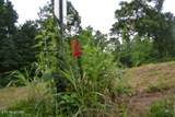 2390 Pea Ridge Fire Tower Rd - Photo 5