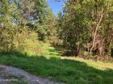 Tract 1 Ousley Gap Rd - Photo 8
