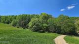 Lot 4-6 Dooley Hollow Rd - Photo 11