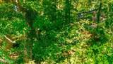 105 Greenbrier Drive - Photo 16