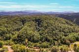 1316 River Divide Rd - Photo 23