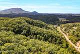 1316 River Divide Rd - Photo 29