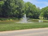137 Eagles Crest Court - Photo 14