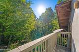 3261 Butterfly Hollow Rd - Photo 28